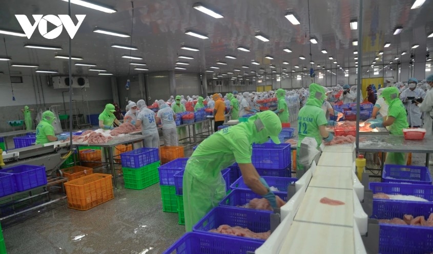 Vietnamese Tra fish exports: Could the US overtake China?